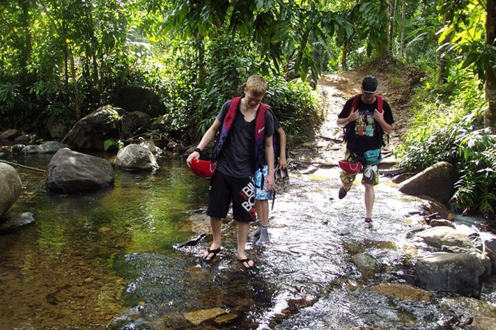 ﻿Uduwara and Nagadowa Waterfall Trekking