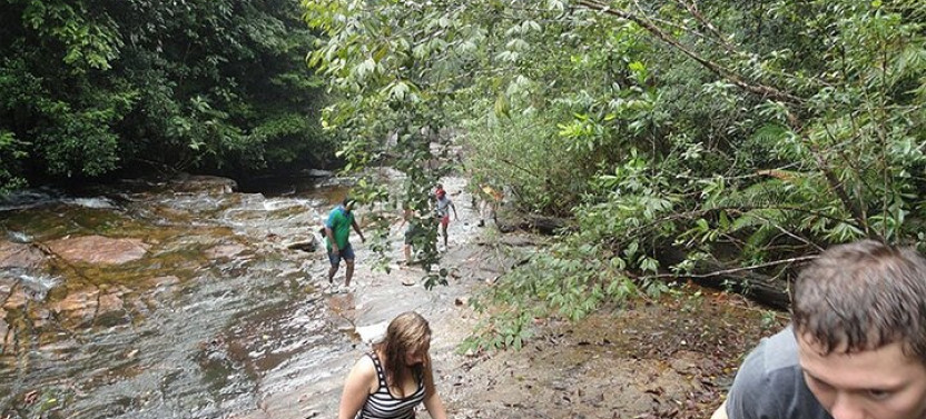 ﻿Uduwara and Nagadowa Waterfall Trekking