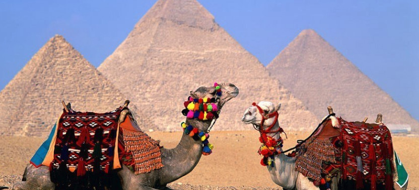 Guided Day Tour: Giza Pyramids, Sphinx, Saqqara and Dahshur Pyramids