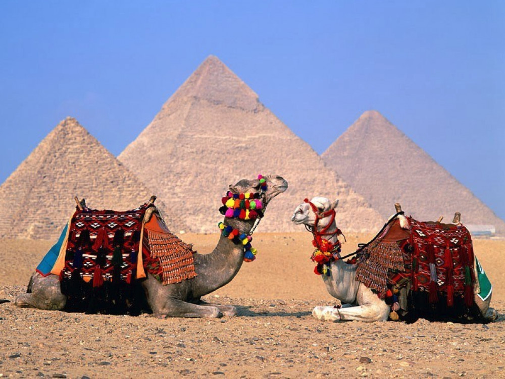 Guided Day Tour: Giza Pyramids, Sphinx, Saqqara and Dahshur Pyramids