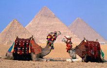 Egypt Gift Tours1