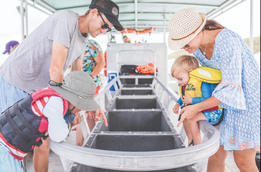 Marine Discovery Day Cruise with Dolphin Feeding