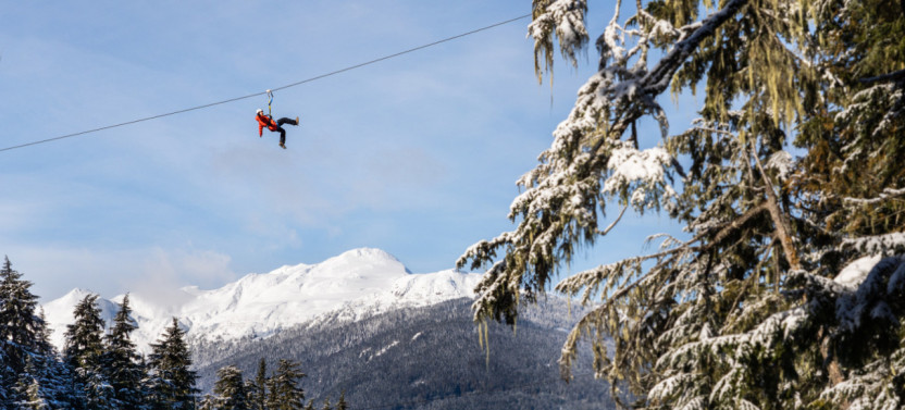 Eagle Zipline Tour