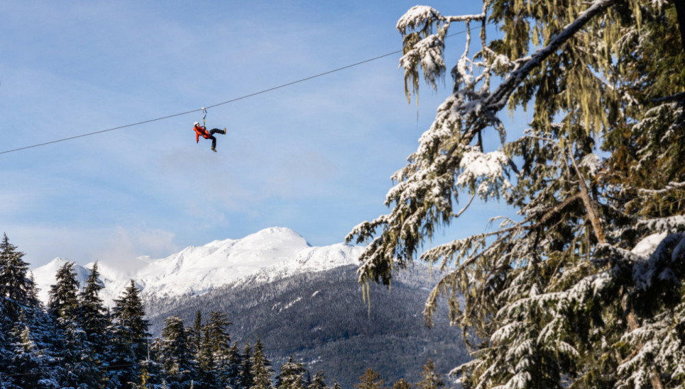 Eagle Zipline Tour