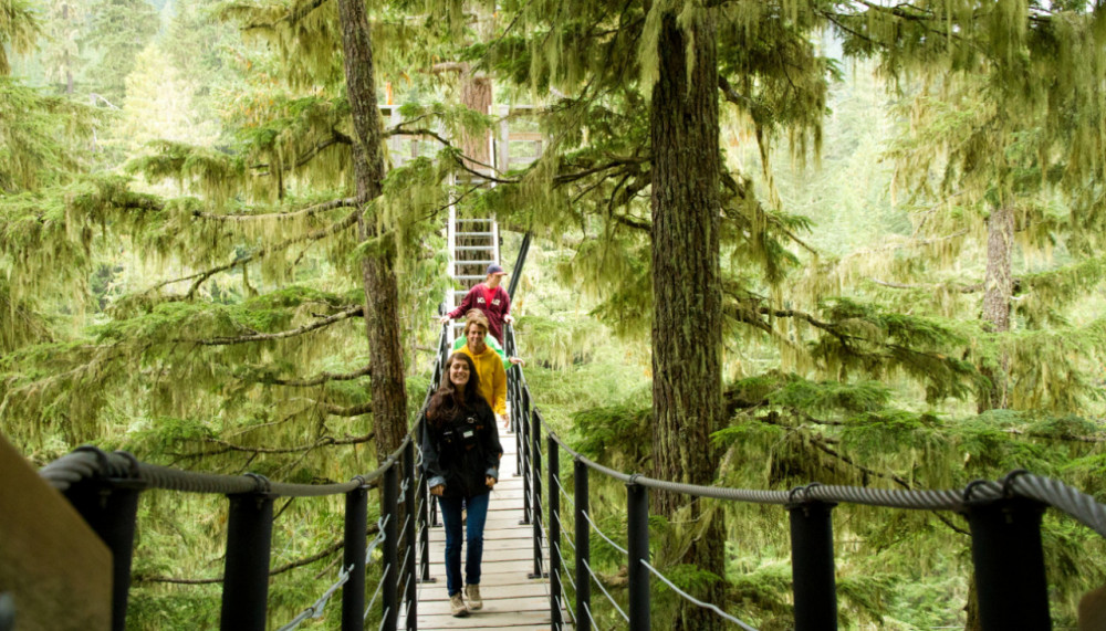 TreeTrek Canopy Tour