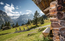 ARATOURS SA (AlpTransfer, AlpExcursion, Switzerland Tour)2