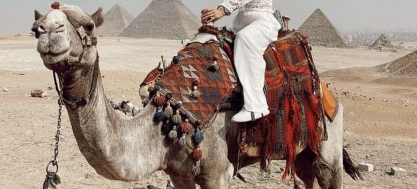Private Tour: Giza Pyramids, Sphinx, Saqqara and Bazaars From Cairo Airport