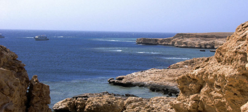 Ras Mohammed National Park: Snorkeling Trip from Sharm El Sheikh Hotel
