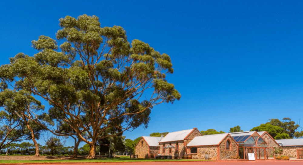 Half-Day Afternoon Wine Tasting And Adelaide Coast