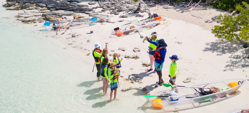 3hr Clear Bottom Mangrove And Iguana Island Tour