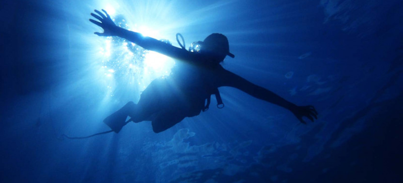 3hr Snuba, Shipwreck And Iguana Island Tour