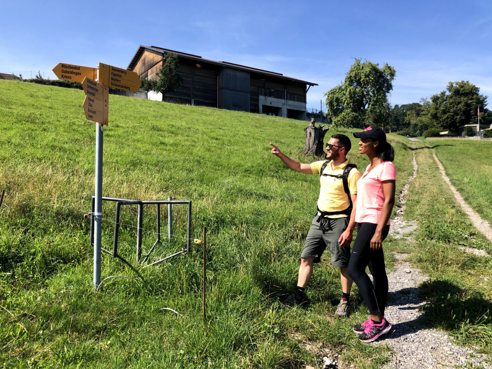 Private Tour of Lucerne's Farms & Cheese Tasting