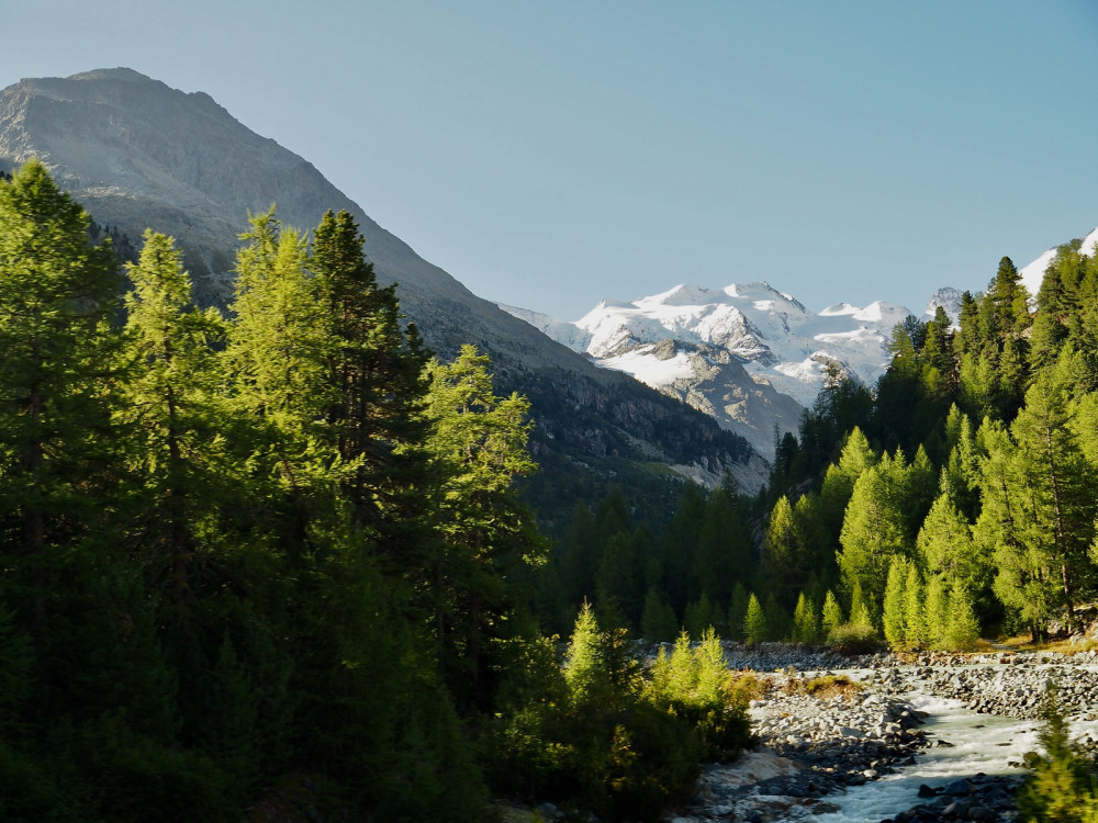 Guided Bernina Express Day Trip To Tirano