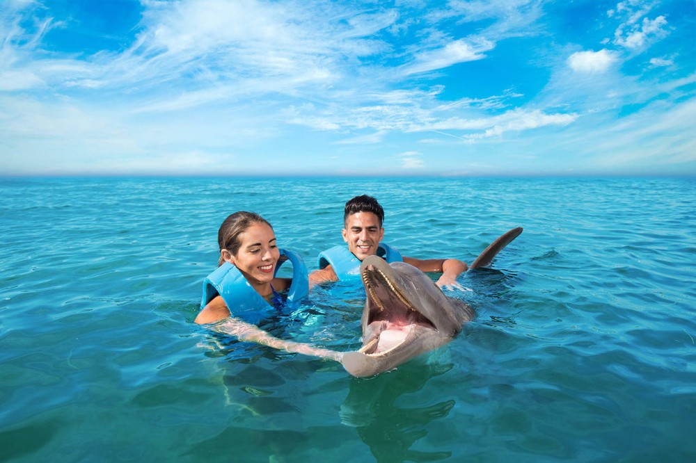 Playa Mujeres Delphinus: Couple