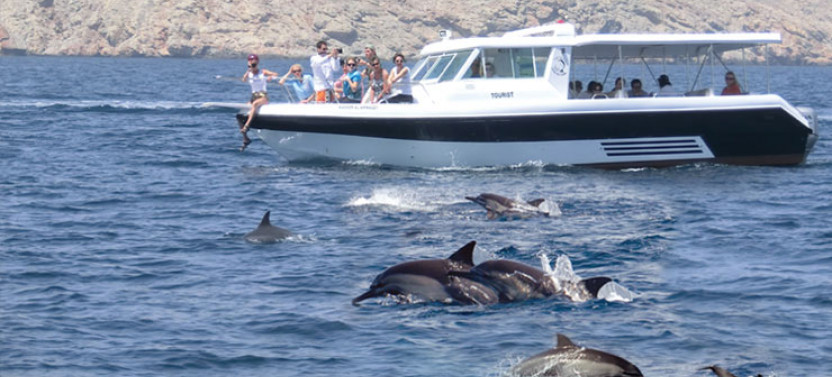 Dolphin Watching and Snorkeling Excursion (Shared Group)