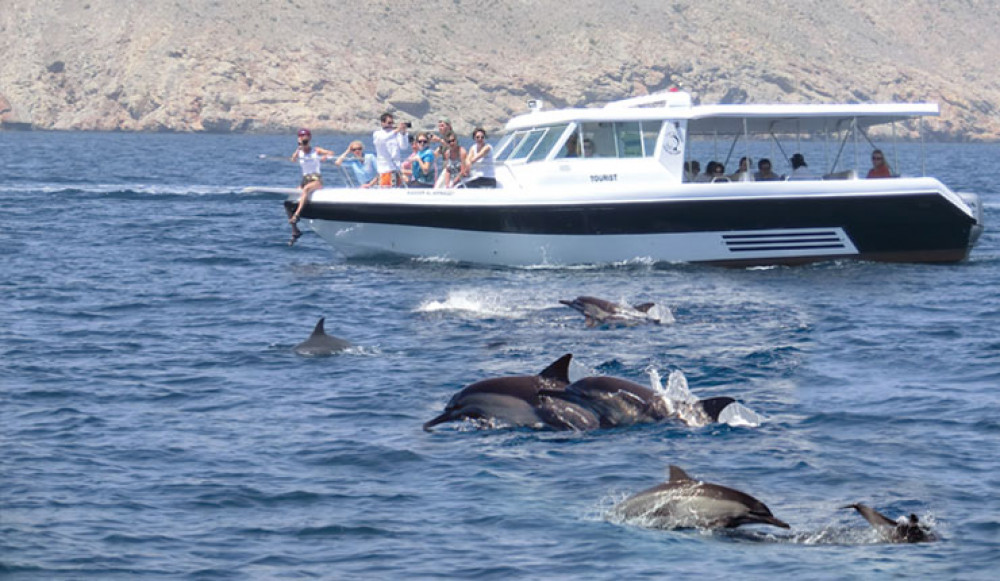 Dolphin Watching and Snorkeling Excursion (Shared Group)