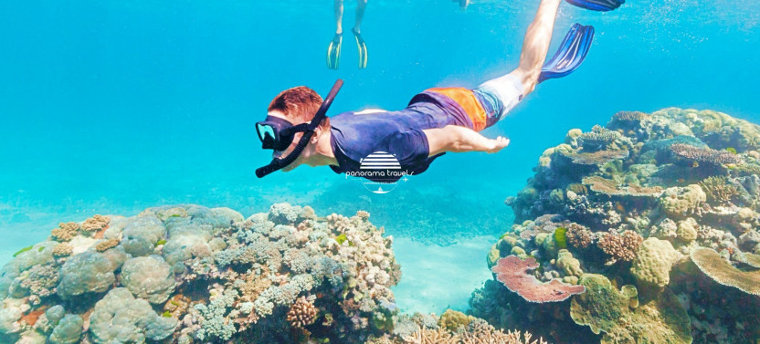 Dolphin Watching and Snorkeling Excursion (Shared Group)