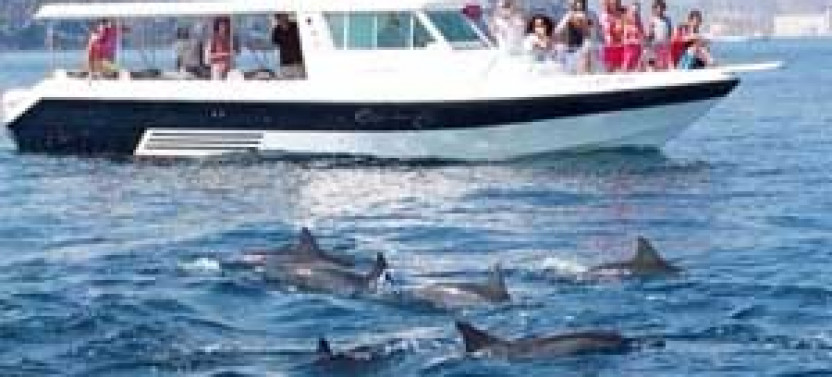 Discover Bandar Khairan: Island Hopping Expedition