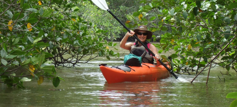 Half Day Sea Kayak Tour