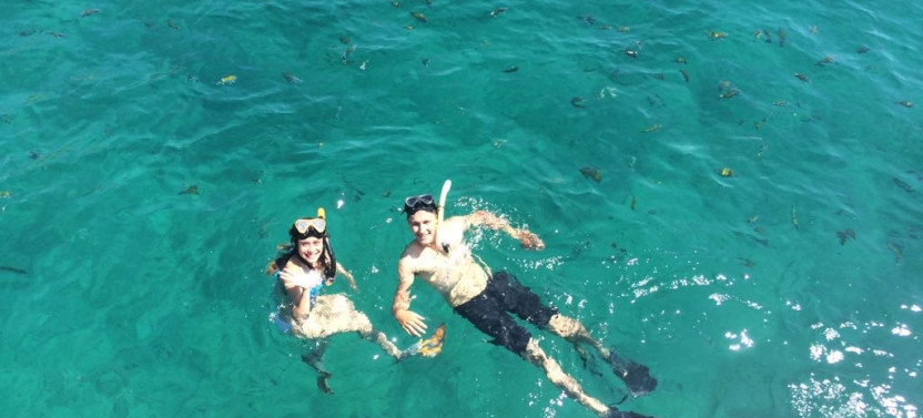 Snorkeling and Spider Monkey Boat Tour
