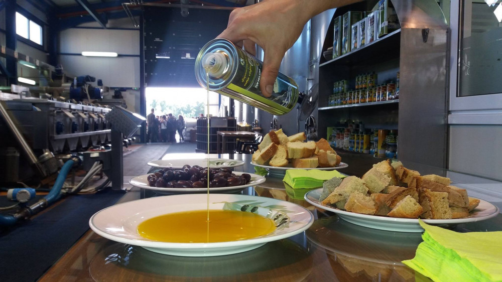 Zante Small Group Tour Bohali Views, Wine & Oil Tasting Zakynthos Project Expedition