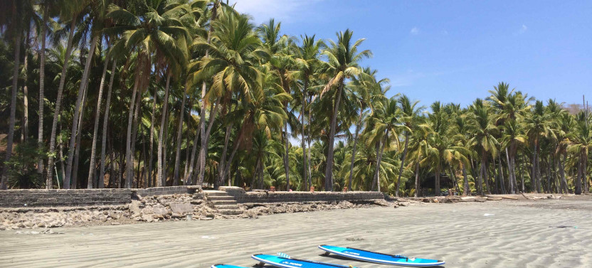 Stand Up Paddleboard Rental