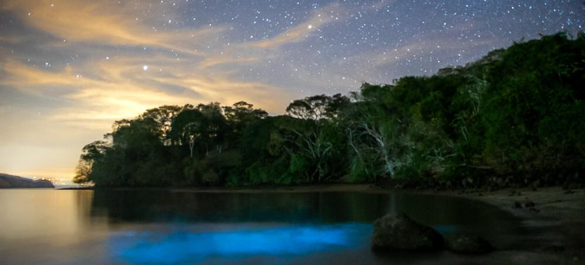 Full Day Isla Tortuga Boat and Bioluminescence Kayak Tour