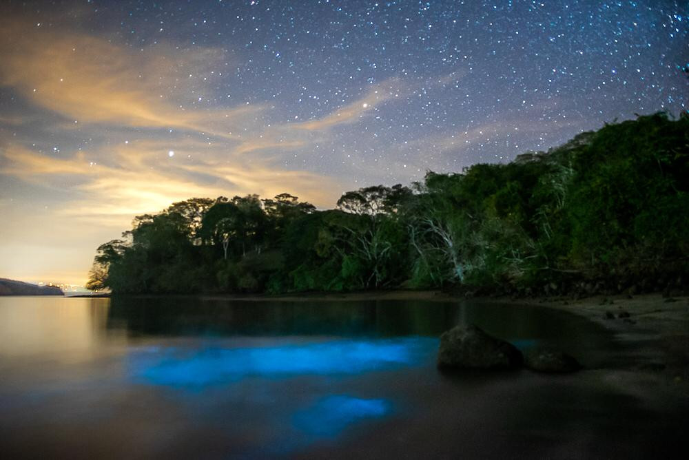 Full Day Isla Tortuga Boat And Bioluminescence Kayak Tour - Paquera ...