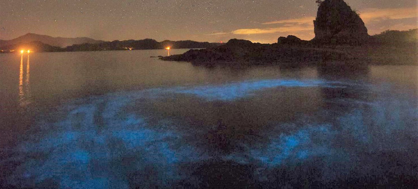 Sunset Paddleboard and Bioluminescence Kayak Tour