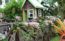 Barefoot Holidays St. Lucia Limited15