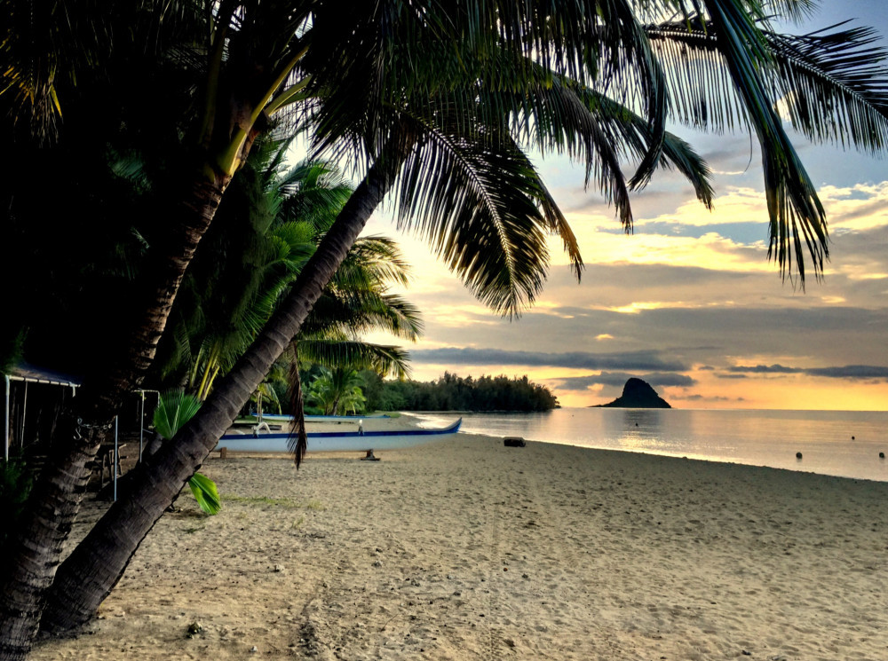 Half Day - Secret Island Beach Relaxation