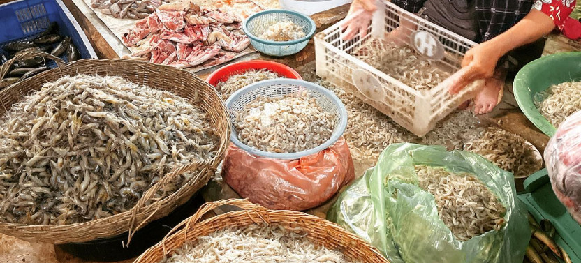 Cambodian Cooking Class and Oxcart Ride with Local Village Tour