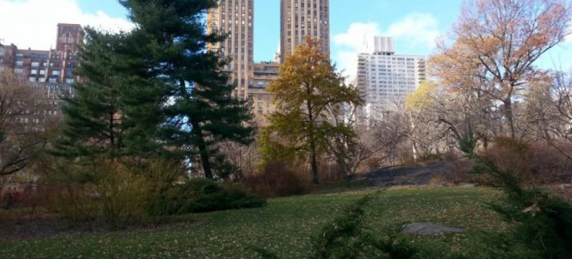 Private Central Park TV & Movie Sites Walking Tour