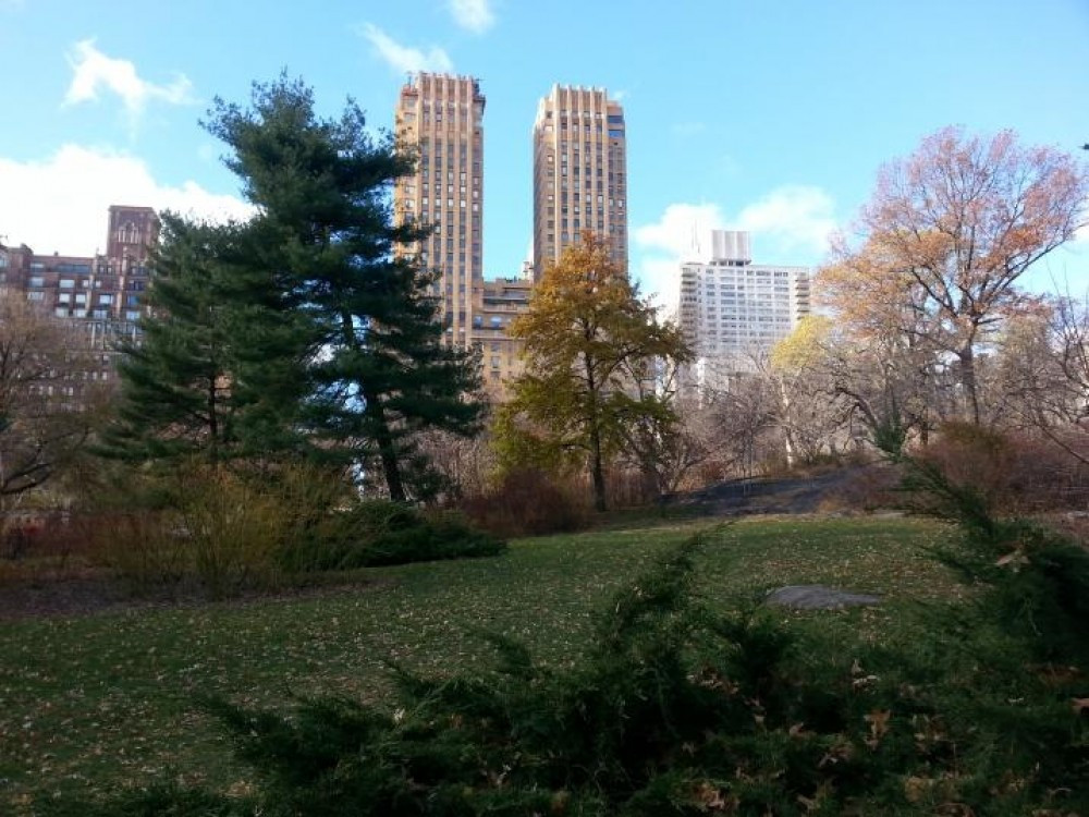 Private Central Park TV & Movie Sites Walking Tour - New York City ...