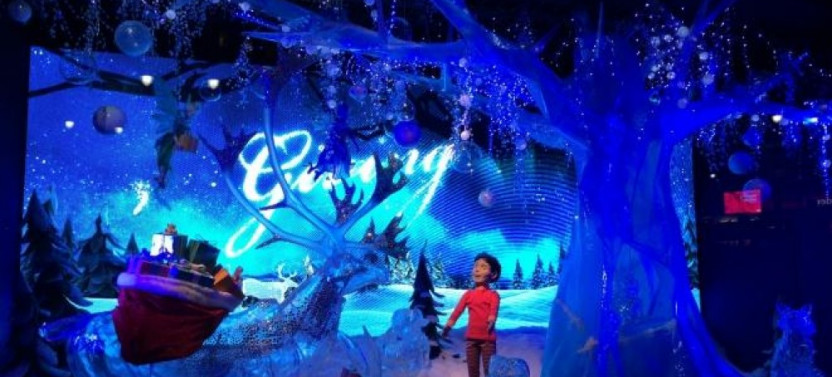 Private Holiday Lights & Movie Sites Tour