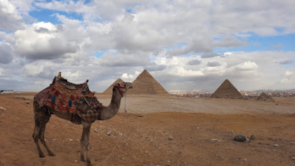 Camel/Horse around Pyramids at Sunset/Sunrise with Transfer