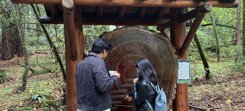 Muir Woods & Sausalito Afternoon Tour With Park Admission
