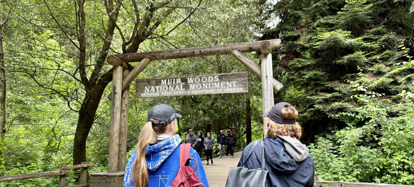 Muir Woods & Sausalito Afternoon Tour With Park Admission