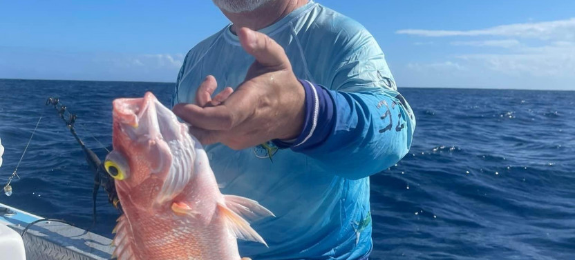 Reef Fishing: Full Day
