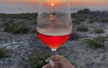 Wineland Santorini8