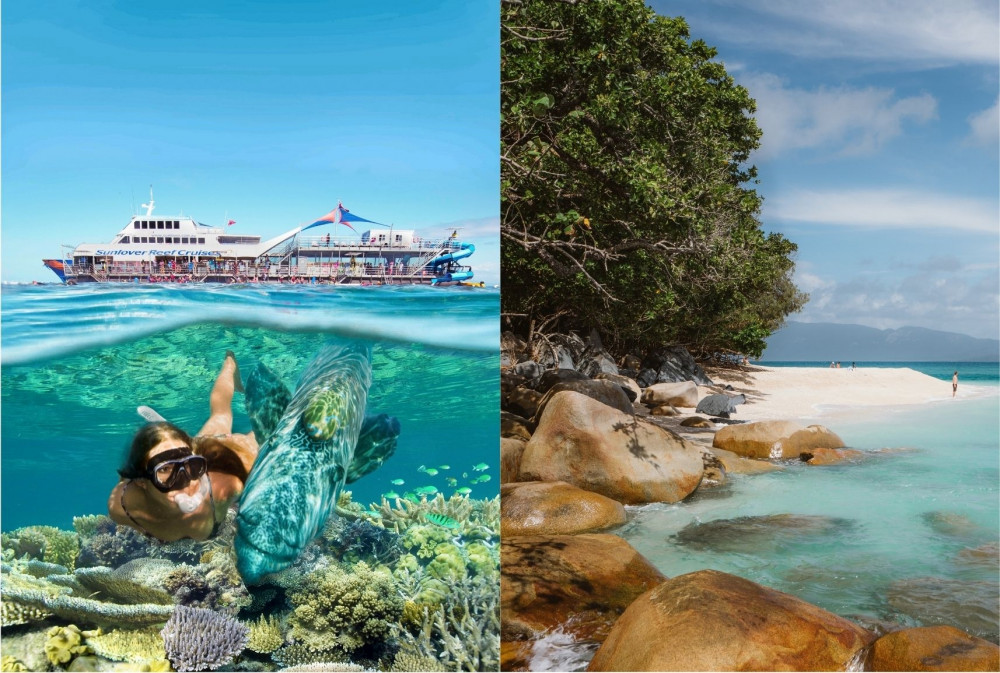 Moore Reef + Fitzroy Island 1 Day Tour