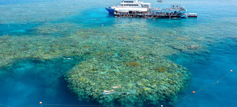 Moore Reef + Fitzroy Island 1 Day Tour