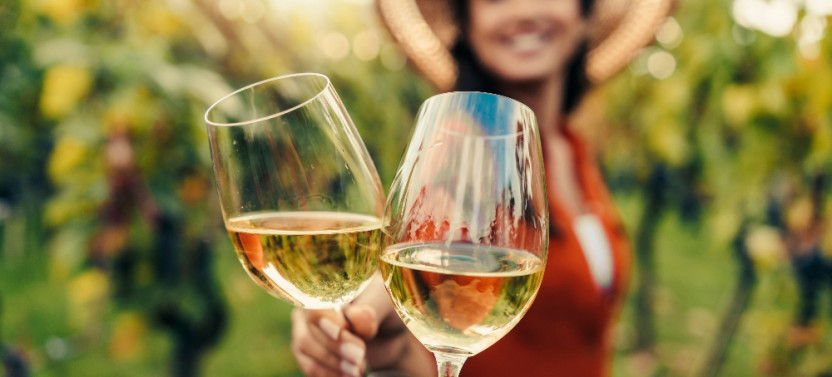 San Francisco Wine Half-Day Tour