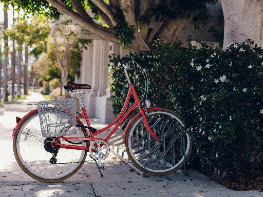 Bike Tour Mexico City: Ride Into The Marvels Of The Capital