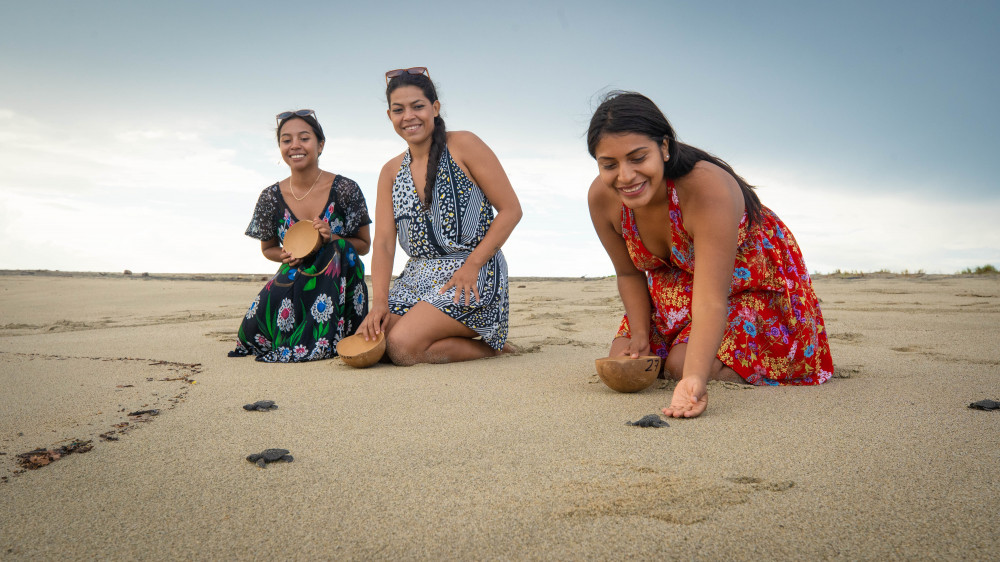 Puerto Escondido: Turtle Release Experience