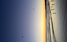 Tridente Boat Trips5