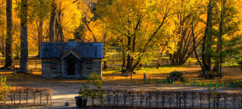 Queenstown Highlights Tour