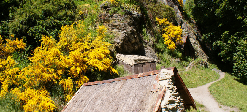 Queenstown Highlights Tour