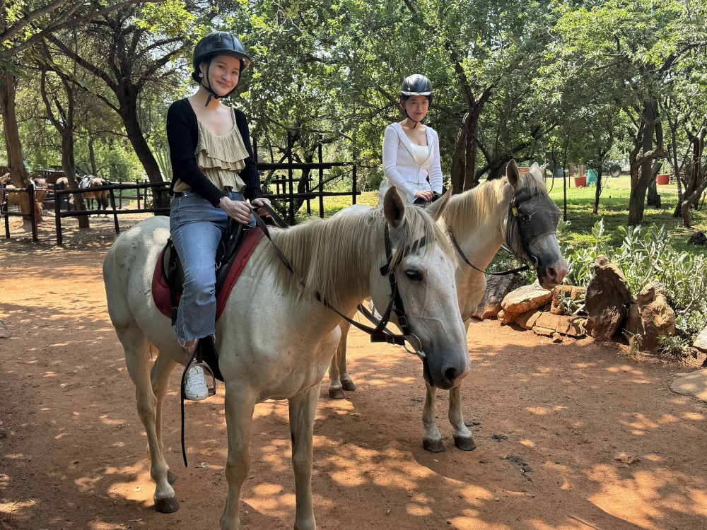 Horseback Safari and Cable Car Tour from Johannesburg