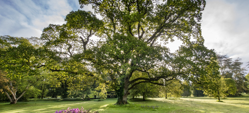 From Dublin: Blarney, Rock of Cashel and Cahir Castles Tour